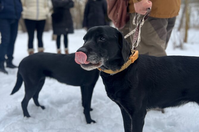 Black Truffle Hunt, Foie Gras & Wines with Budapest Pickup - Foie gras and black truffle tasting at the mill: where the flavors click