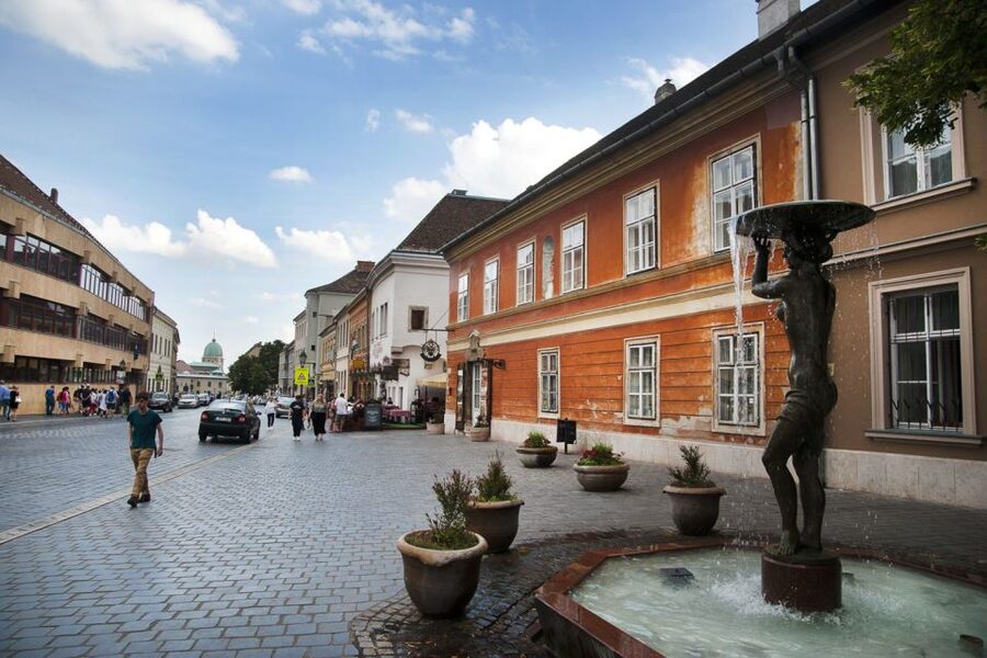 Budapest: Buda Castle District Walking Tour - President’s Palace and the Royal Palace courtyards, fountains, and guards