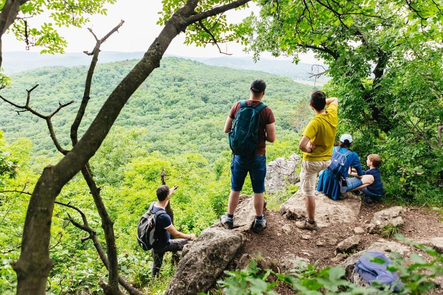 Budapest: Buda Hills Guided Hiking Tour with Optional Lunch - Elizabeth Lookout Tower: the main panorama moment