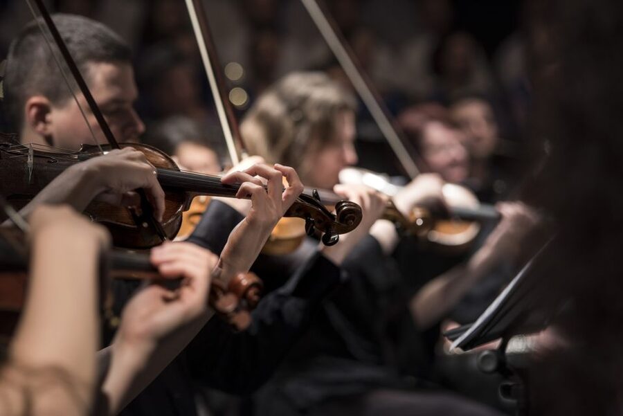 Budapest: Classical Music Concerts in St Stephen's Basilica - Who should book this and who might skip it