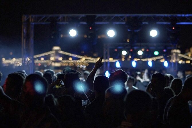 Budapest Danube Cruise with DJ, Drinks and After Party - Who This Is Best For (and Who Should Skip It)