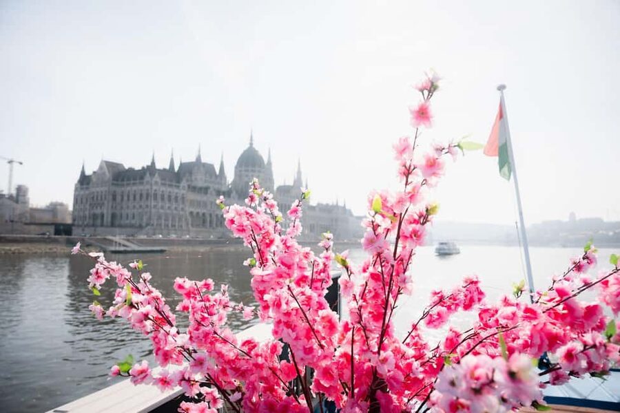 Budapest: Daytime Hop-on Hop-off Cruise with Welcome Drink - Onboard comfort: air-conditioning, restrooms, and the bar