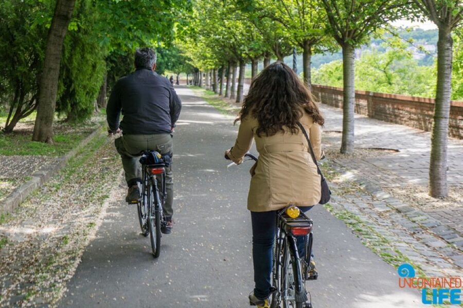 Budapest: E-Bike Guided Tour and Castle Hill - Danube River Pedal Power: Bridges, Views, and Photo Stops That Set the Tone