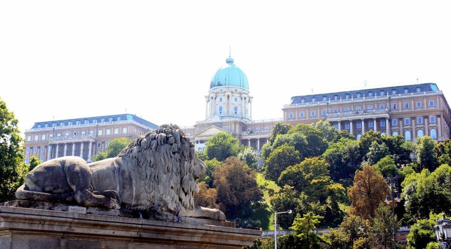 Budapest: Guided City Tour by E-Bike - Buda Castle District Views Without the Sore-Leg Problem