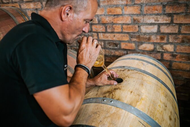Budapest Half-Day Wine Tour: 3 Family Wineries, Meal & Pálinka - Heading out of Budapest at 10:00 am, then back again