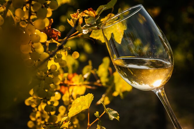 Budapest Half-Day Wine Tour: 3 Family Wineries, Meal & Pálinka - Stops 2 and 3: comparing three wineries without getting lost
