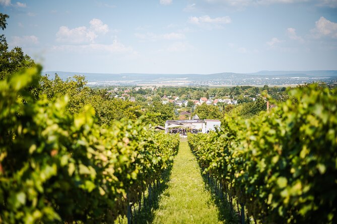 Budapest Half-Day Wine Tour: 3 Family Wineries, Meal & Pálinka - Pálinka with wine: the part that can sneak up on you