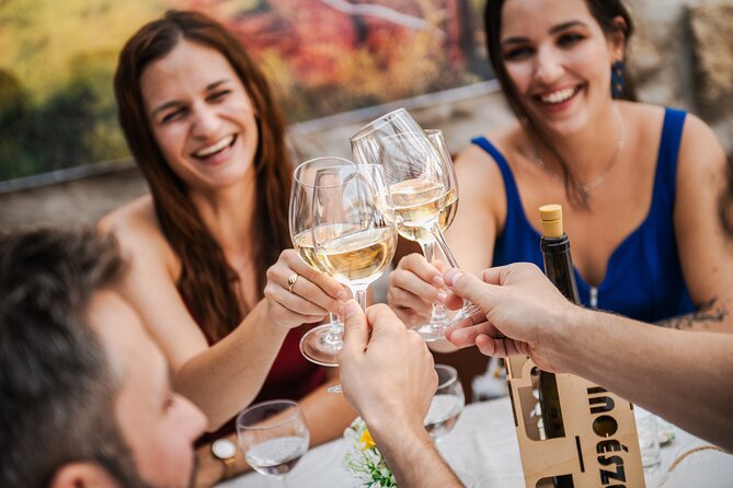 Budapest Half-Day Wine Tour: 3 Family Wineries, Meal & Pálinka - How the tasting day is paced across 3 family wineries