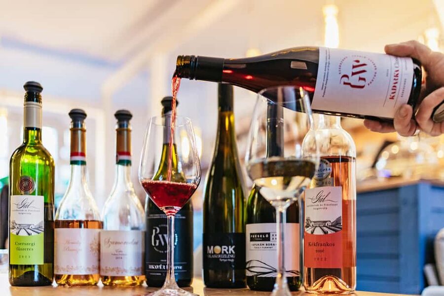 Budapest: Hungarian Wine Tasting with 8 Wines and Tapas - The Guide Experience: Stories, Teaching Tools, and Q&A That Doesn’t Talk Over You