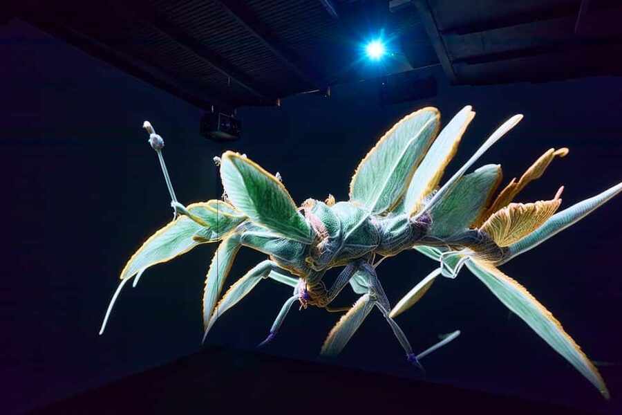 Budapest: Light Art Museum Skip-the-Line Entry Ticket - Modern and contemporary art, local and international names
