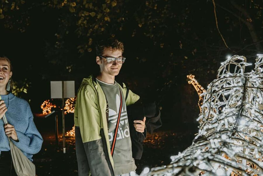 Budapest: Lumina Light Park Wonderworld Entry Ticket - Photo opportunities and hot drinks that keep you from freezing