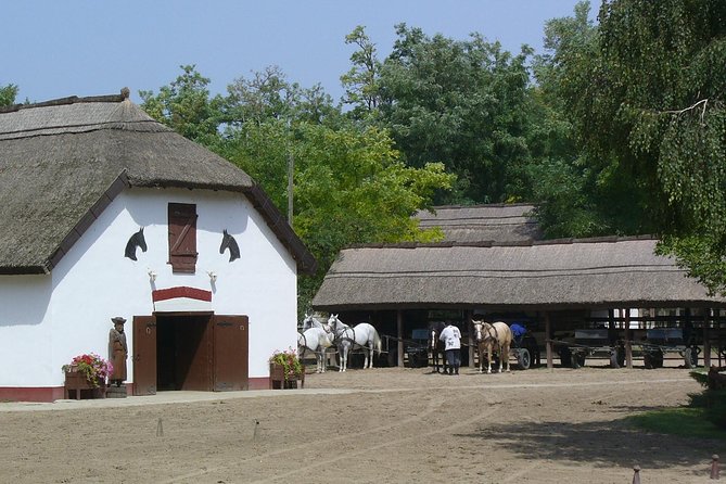 Budapest Puszta Day Trip to Kecskemet with Horse Show & Lunch - Arriving at the Csárda: pálinka welcome and carriage ride