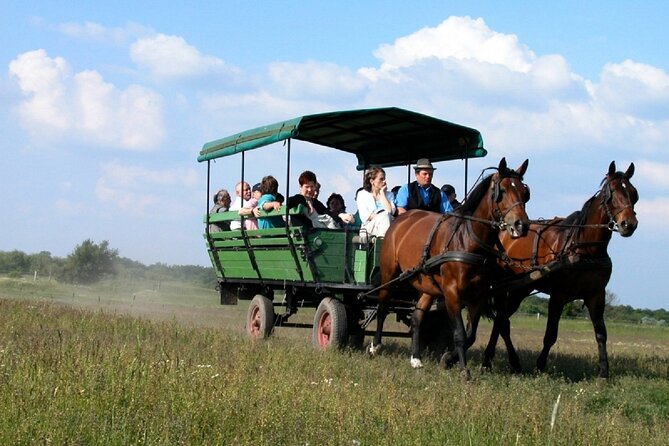 Budapest Puszta Day Trip to Kecskemet with Horse Show & Lunch - Price and value: what $136.37 buys you for a full day