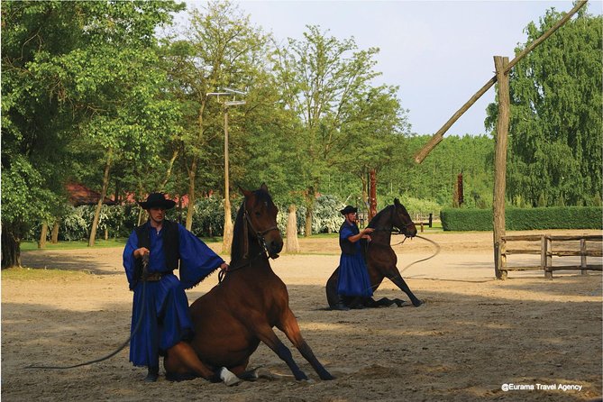 Budapest Puszta Day Trip to Kecskemet with Horse Show & Lunch - Kecskemét stroll: Town Hall vibes and a short city reset