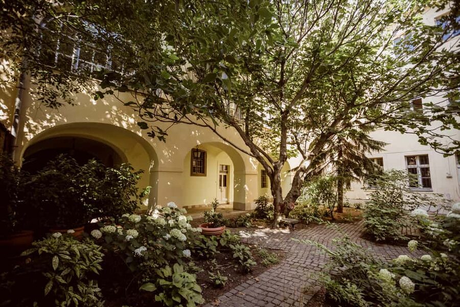 Budapest: Secrets of the Old Town of Buda Guided Walk - Castle District streets: narrow lanes, medieval houses, and survival