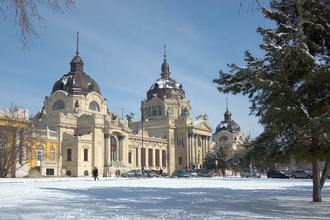 Budapest Széchenyi Spa with Danube Cruise and Optional Dinner - Dinner onboard: buffet, optional add-on, and what to watch for