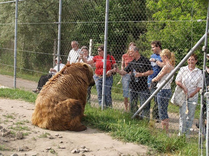 Budapest: Transport & Guided Tour of Bear and Wolf Sanctuary - Key points