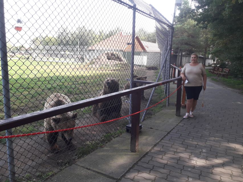Budapest: Transport & Guided Tour of Bear and Wolf Sanctuary - Practical timing on the day: what happens when