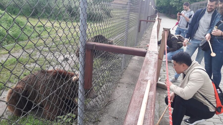 Budapest: Transport & Guided Tour of Bear and Wolf Sanctuary - Inside the sanctuary: walking the enclosure and learning the rules
