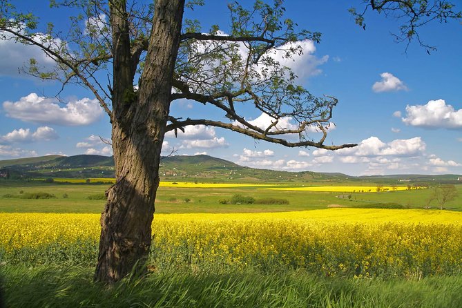 Budapest-Vienna One-Way Sightseeing Transfer - The Small-Group Ride, Luggage Space, and Why It Matters
