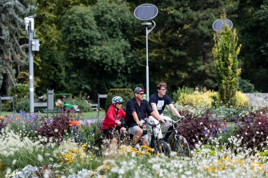 Choose a bicycle and make your own tour in Budapest-24 hrs - Meeting Bestbike Tours Near Ferenc Liszt University of Music