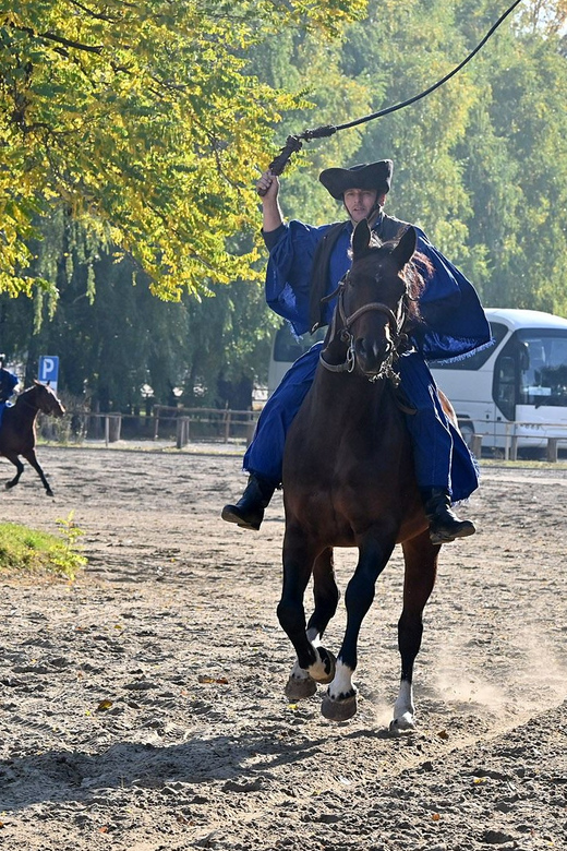 Countryside ranch, horse show & lunch - Should you book this countryside ranch, horse show, and lunch?