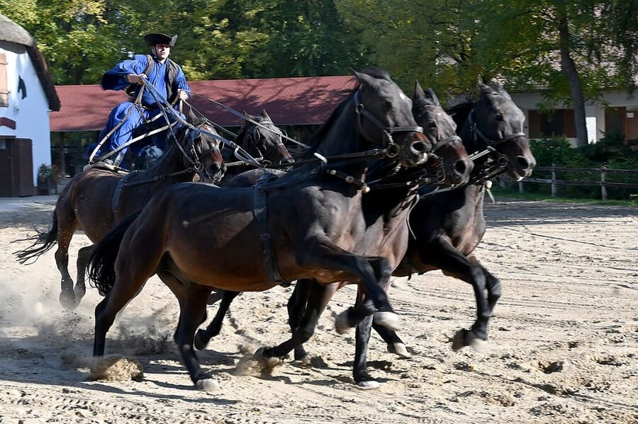 Countryside ranch, horse show & lunch - Head out from Budapest to the Southern Great Plain
