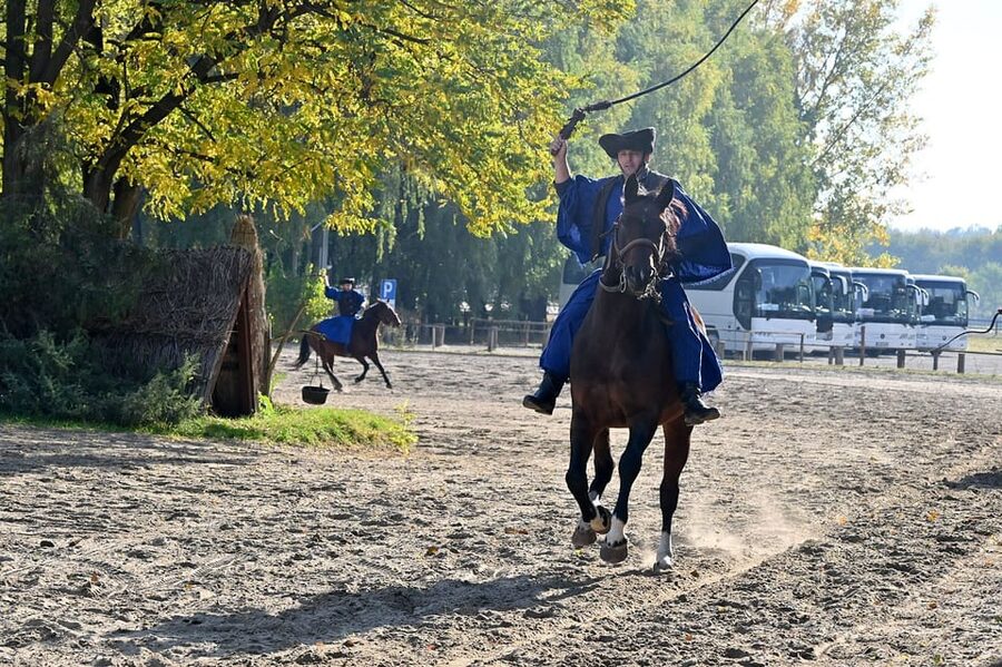 Countryside ranch, horse show & lunch - How the pacing works in a 5-hour half-day
