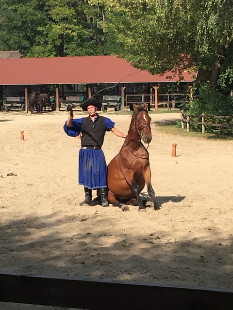 Countryside ranch, horse show & lunch - Who this tour fits best
