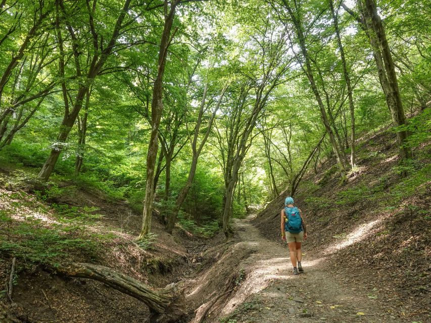 Danube Bend Hiking and Kayaking Adventure - Key Things You’ll Really Notice On This Danube Bend Day