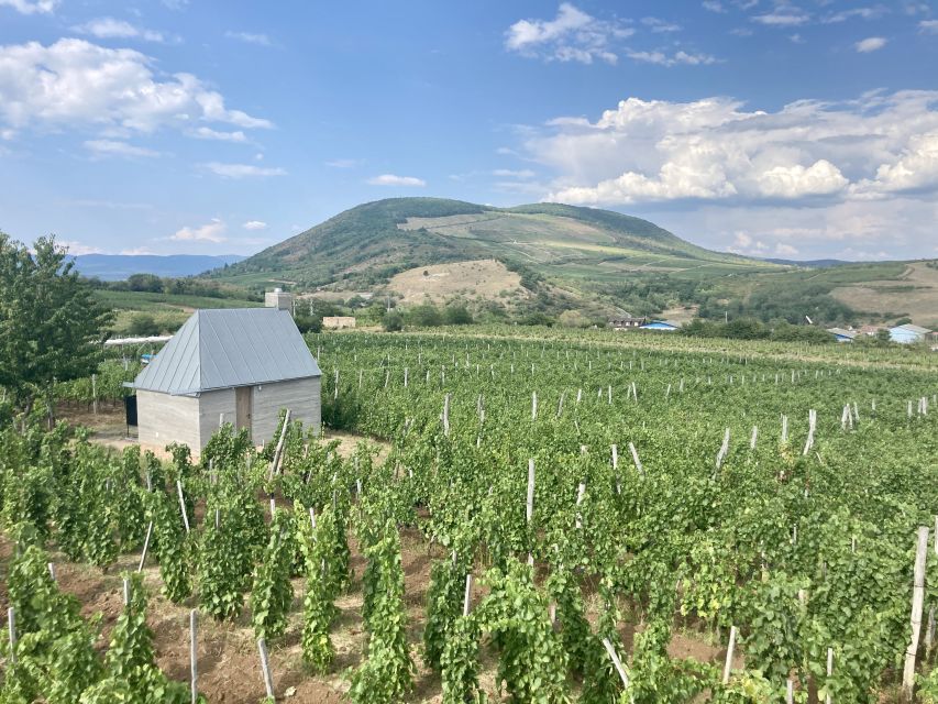 Eger: Countryside, Culture, and Wine Private Tour - Key Things That Make This Eger Tour Work