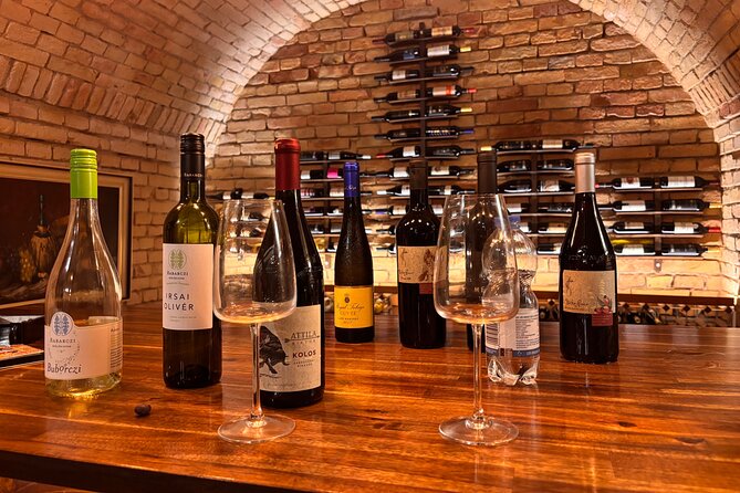 Exclusive Hungarian Wine and Gastronomy Experience Luxury Package - Timing, group size, and what 90 minutes really means