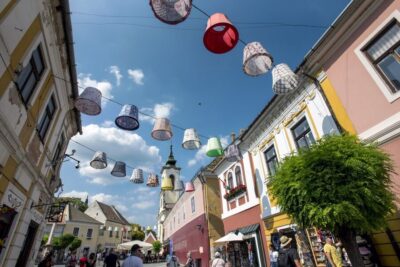 From Budapest: Danube Bend Day Trip in English