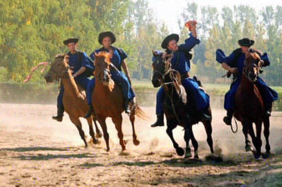 From Budapest: Full-Day Puszta Tour with Lunch and Show - Key highlights at a glance