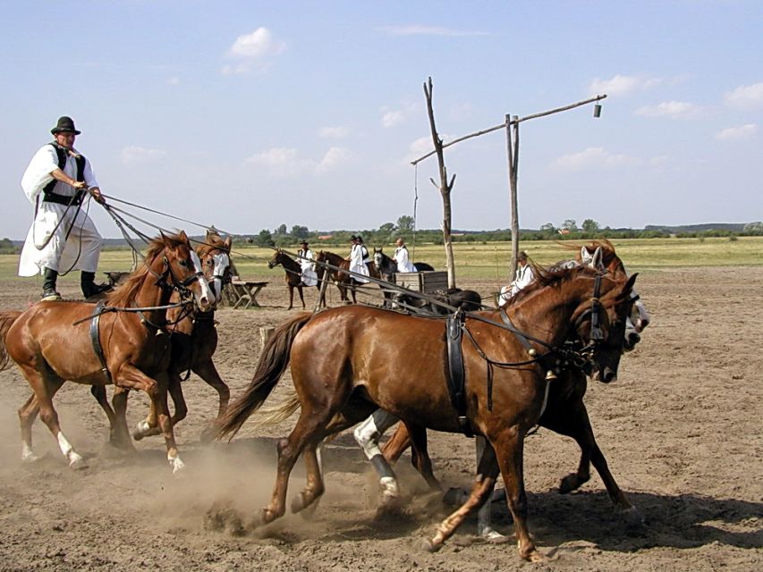 From Budapest: Full-Day Puszta Tour with Lunch and Show - Who this tour suits best, and who might want to skip it