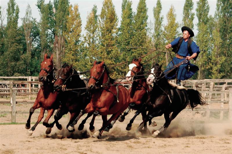 From Budapest: Full-Day Puszta Tour with Lunch and Show - Kecskemét walk, free time, and the small-city feel