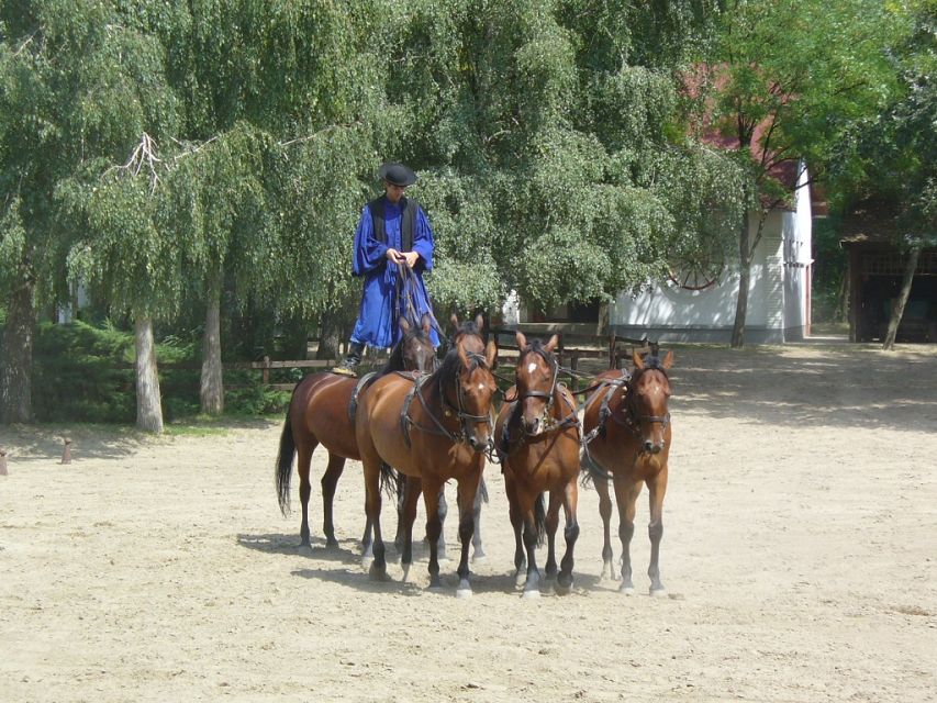 From Budapest: Full-Day Puszta Tour with Lunch and Show - Heading to Lajosmizse, the Hungarian ranch world