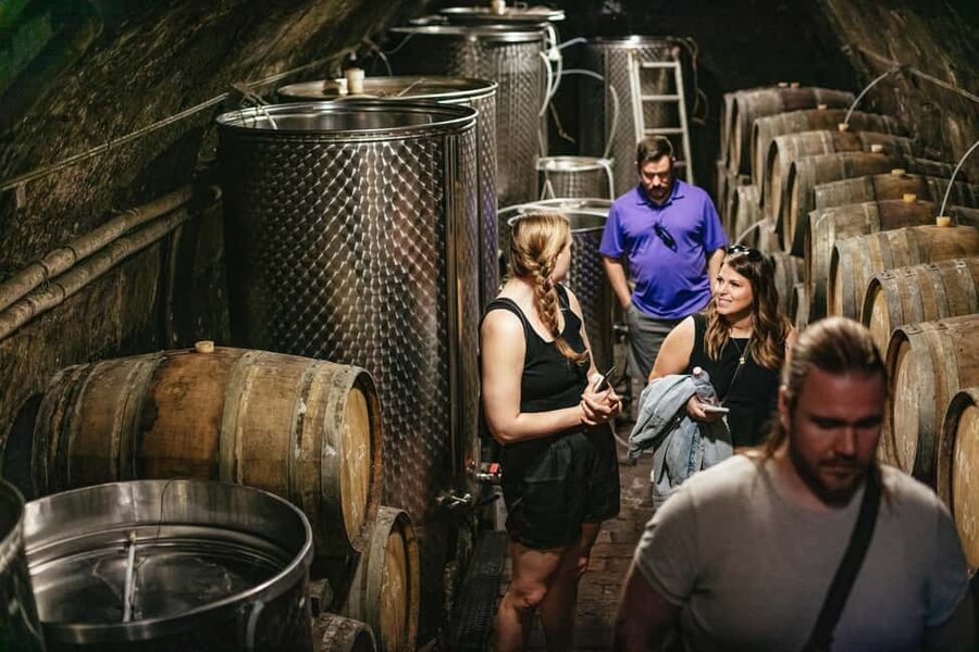 From Budapest: Half-Day Countryside Wine Tour with Meal - Should you book this Budapest to Etyek half-day wine tour?