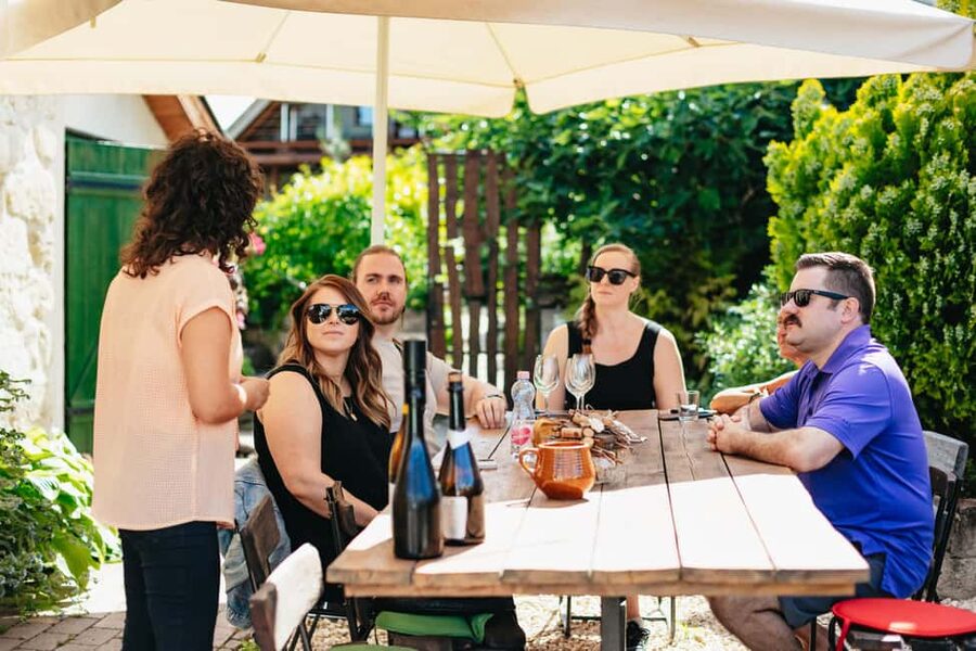 From Budapest: Half-Day Countryside Wine Tour with Meal - Second stop, and sometimes a third: comparing family styles without the rush