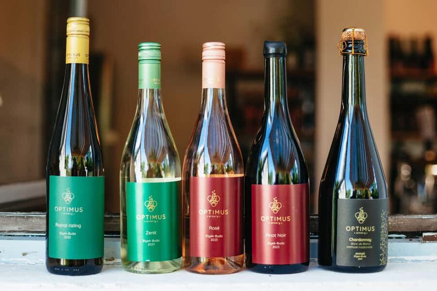 From Budapest: Half-Day Countryside Wine Tour with Meal - Practical tips so your half-day feels smooth