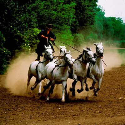 From Budapest: Puszta Horse Show and Countryside Visit