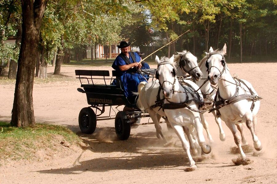 From Budapest: Puszta Horse Show and Countryside Visit - Hungarian Lunch Details: The Meal Plan Is Better Value Than It Sounds