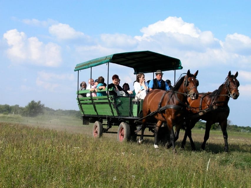 From Budapest: Puszta Horse Show and Countryside Visit - Timing, Comfort, and Where the Day Can Feel Tight
