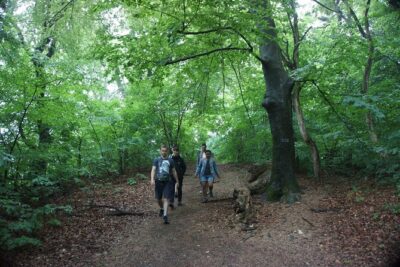 Hiking in Budapest