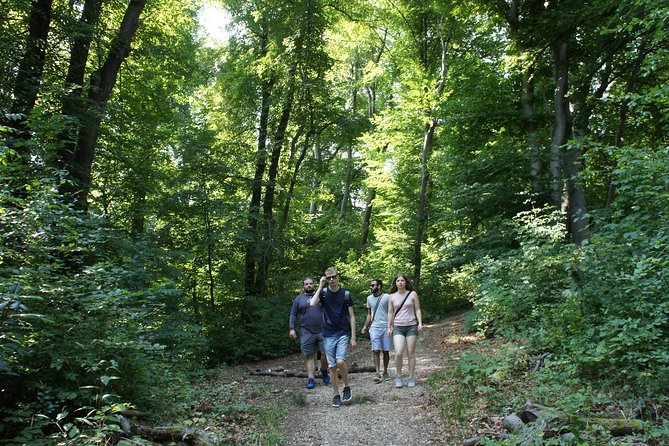 Hiking in Budapest - Local Nature Stories and Hungary Talk You Might Not Get on Standard Sights