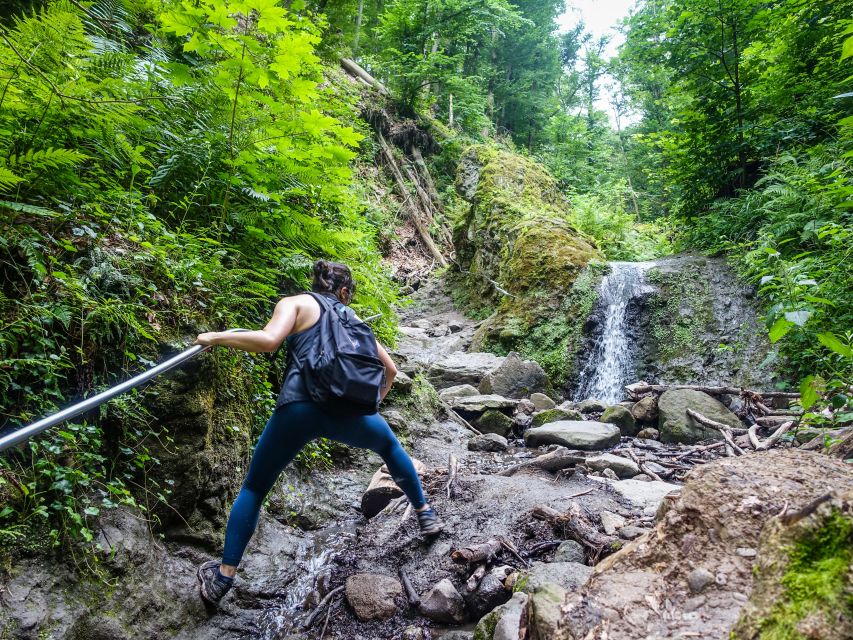One Day Wonder Hike - The Essence of the Danube Bend - Downhill through a wild valley shaped by water