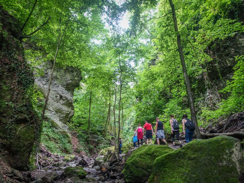 One Day Wonder Hike - The Essence of the Danube Bend - Fitness, balance, and footwear: the truth about this being a hike