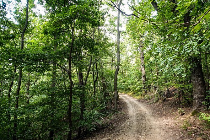 Panoramic hike around Budapest - Who this Budapest hike is for, and who should skip it