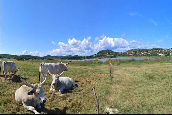 Private tour from Budapest to a top hidden treasure region of Europe: Lake Balaton - Why a private Budapest to Balaton day feels different