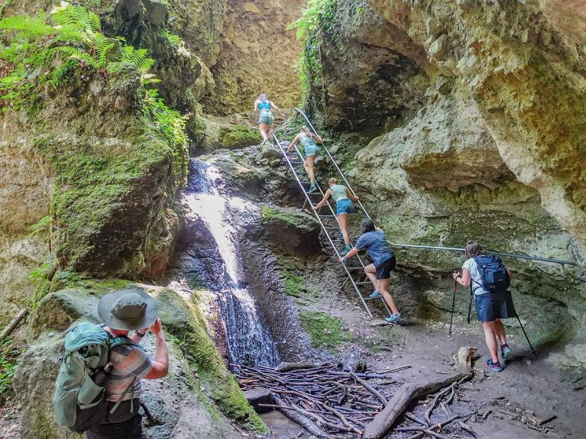 Ram Gorge Hiking Adventure - The van ride to Dömös sets the tone